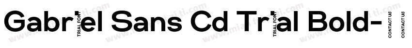 Gabriel Sans Cd Trial Bold字体转换